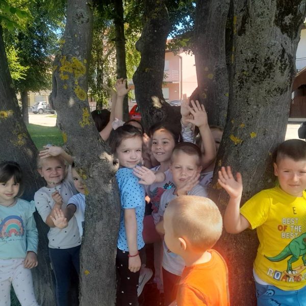 IMG-b3aee22b3ca7483df6b61c1ed51678fd-V
